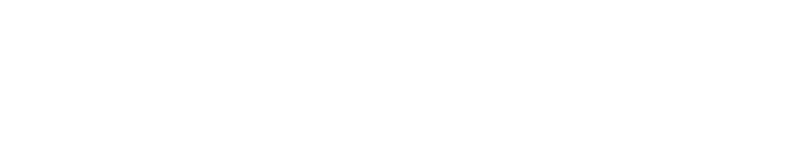 Wordmark — knockout